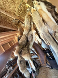 Tanned Idaho Wolf - Tubed - Hanger